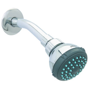 4506BV Regadera ecológica 2 1/2" de cebolla con  brazo y chapetón